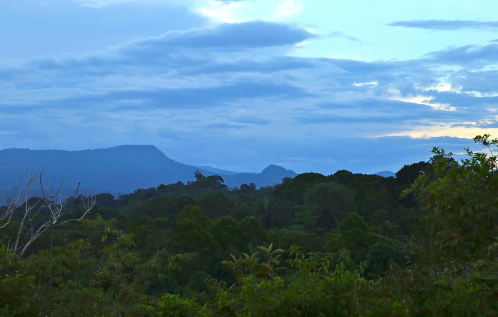 Blue Banyan Inn Quepos Exterior photo