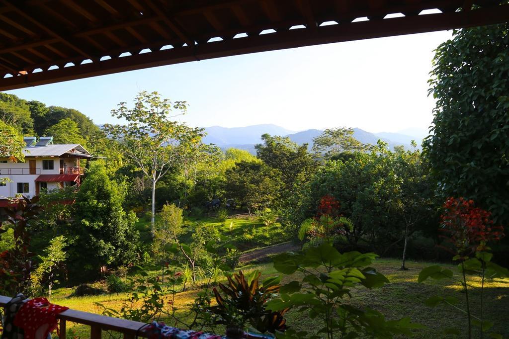 Blue Banyan Inn Quepos Exterior photo