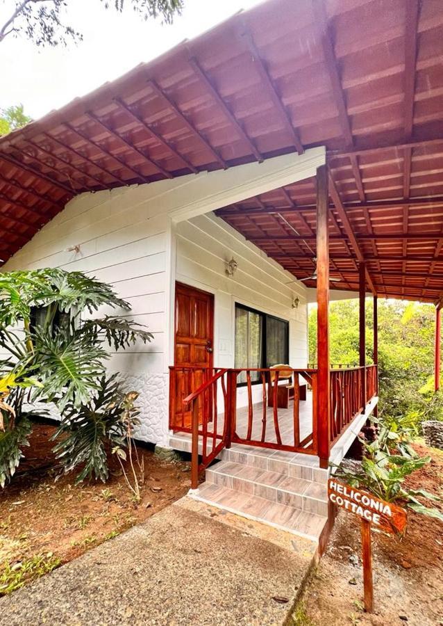 Blue Banyan Inn Quepos Exterior photo