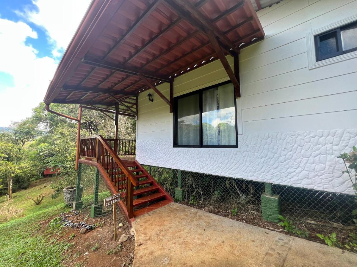 Blue Banyan Inn Quepos Exterior photo